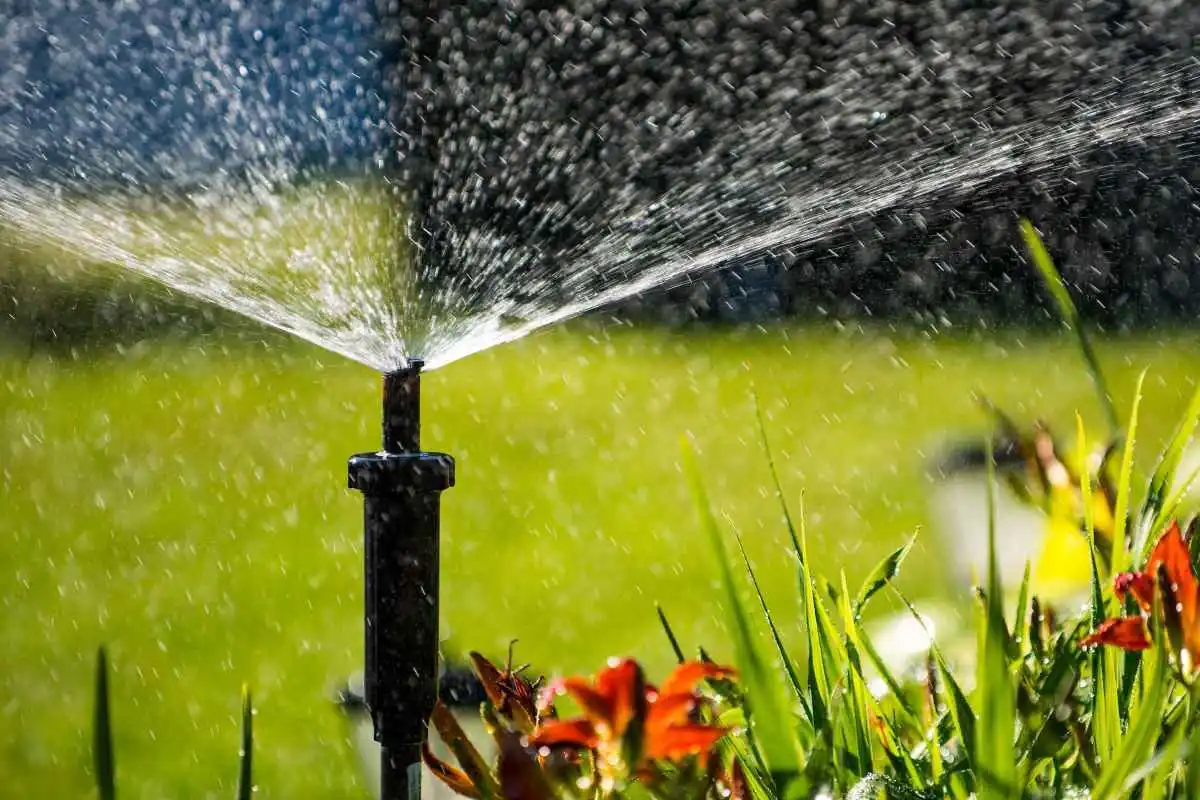 Pop-up sprinkler distributing water across lawn and nearby plants