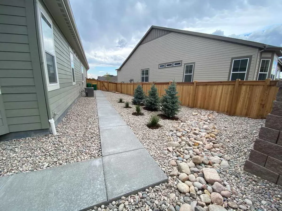 Straight concrete walkway in a narrow side yard beside decorative rock, young spruce, and a stone drainage channel