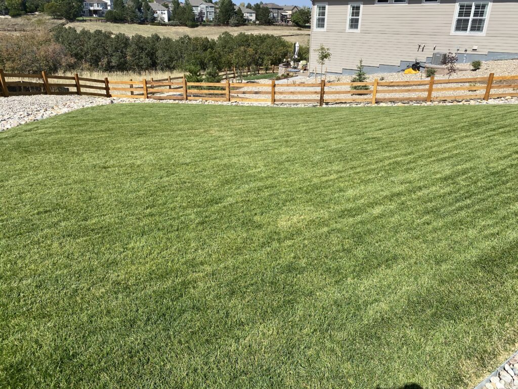 A perfectly Manicured Lawn