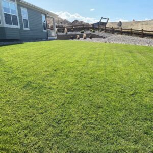 Sterling Ranch Sod, Trees, and Plants