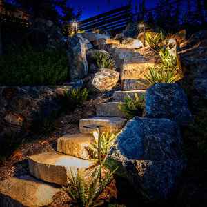 Dramatically lit stone stairway surrounded by lush vegetation, part of a Castle Pines outdoor lighting design.
