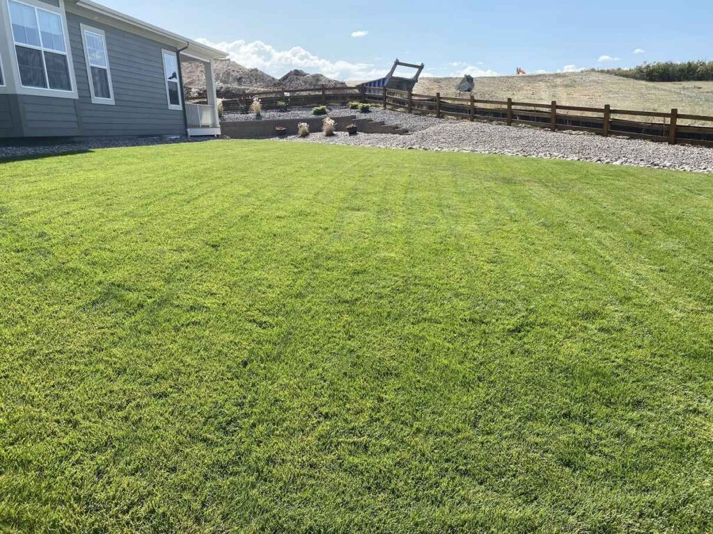 A beautifully landscaped backyard with freshly laid sod, young trees, and vibrant plants, showcasing expert landscaping in Parker, CO.