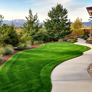 A beautifully landscaped backyard in Castle Rock, Colorado, featuring a lush green sod lawn, a curved concrete walkway, and a variety of trees and drought-resistant plants with scenic mountain views in the background.