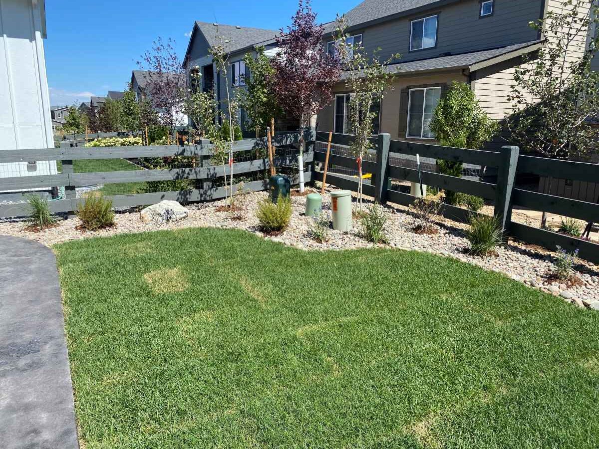Castle Rock Landscaping trees and shrubs
